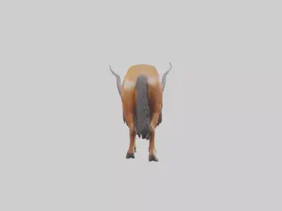Bokhara Markhor grazing model 3D model