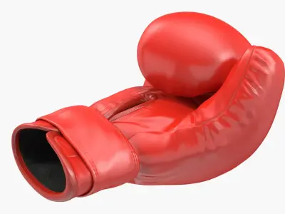 Boxing Gloves Fighting Pose 3D Model