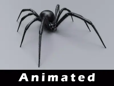 Black Widow Spider Low-poly 3D model purchase