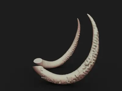 Tusks 3D print model