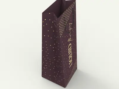 Everyday Wine Bag Mockups 3D model