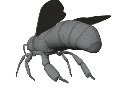 Animated bee Low-poly 3D model get