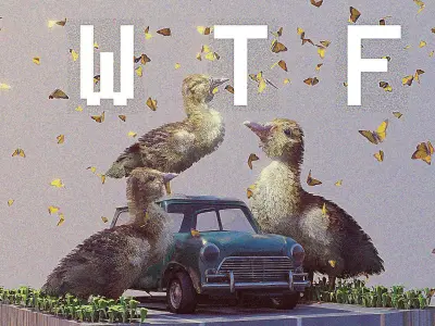 what the duck 3D model