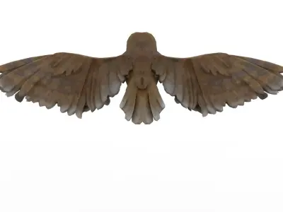 Owl bird 3D model