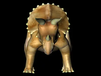 Triceratops dinosaur 3D model order