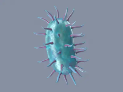 Bacterium 3D model