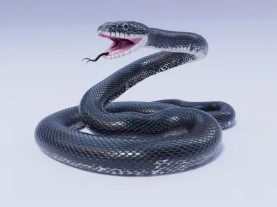 Animated Black Rat Snake 3D model