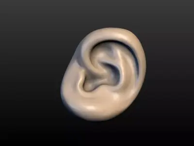 Round Ear 3D print model