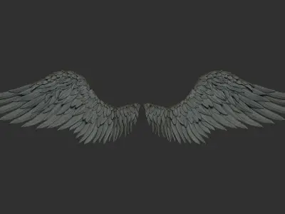 11 Wings 3D model