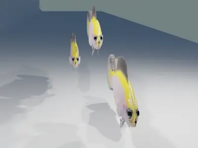 Sunrise Dottyback Fish 3D model