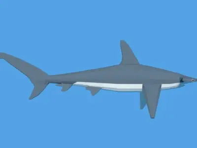 Low Poly Cartoon Hammerhead Shark Low-poly 3D model