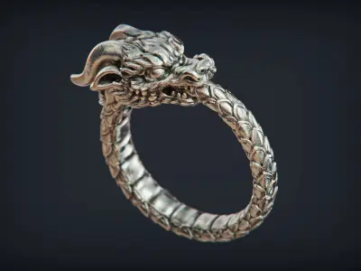 Dragon Ring Ouroboros 3D print model