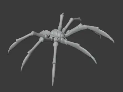 Spider Jewelry 3D print model