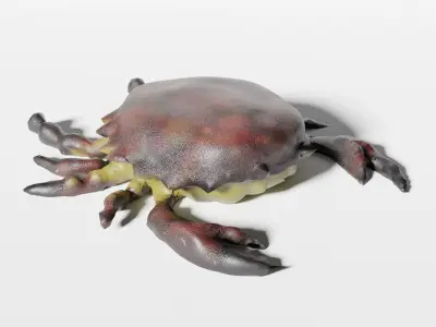 Crab lowpoly Low-poly 3D model