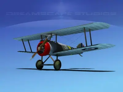 Sopwith Camel 3D model from CGTrader - Rigged