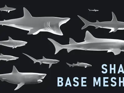 Low-Poly Shark Mesh Collection Low-poly 3D model