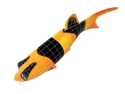 Clown loach fish animated  Low-poly 3D model