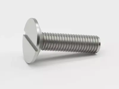 Slotted Machine Screw 3D model