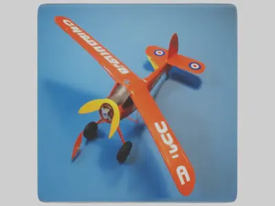 Cub Model 1 Low-poly 3D model