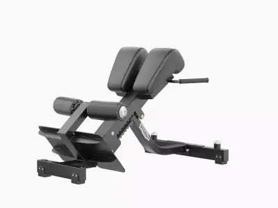 Technogym Lower Back Bench Pure 3D model