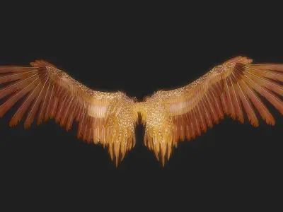 Fantasy Wing Rigged 3D model