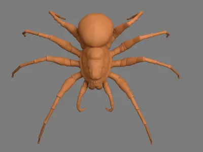 Spider Low-poly 3D model 8