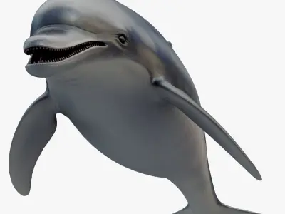  Set of Sea Animals Animated 8K Low-poly 3D model