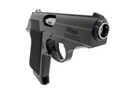 PPKS Pistol Free 3D model