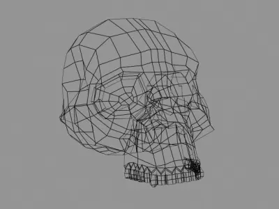 Skull Hominid 3D model