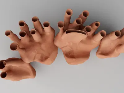Endoplasmic Reticulum  3D model