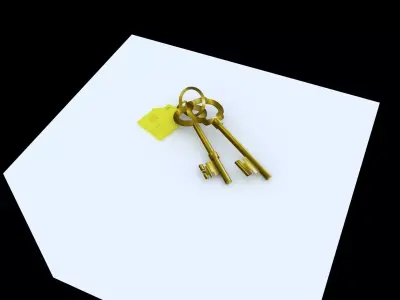 Old keys with a keychain 3D model