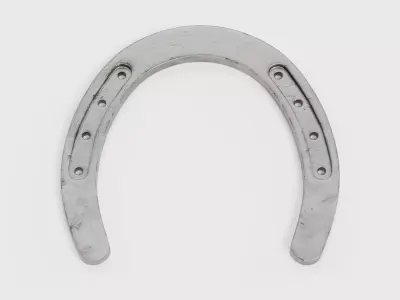 -Horseshoe- 3D model