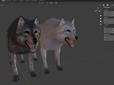 Realistic Wolf Low-poly 3D model