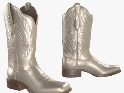 Gold Stitch Cowgirl Boots 3D model