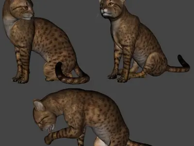 wendys savannah cat 3D model