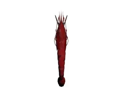 SHRIMP LOW POLY 3D model