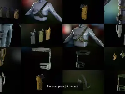 Holsters pack