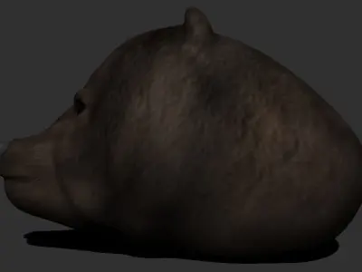 Bear 3D model head with eyes 3D model