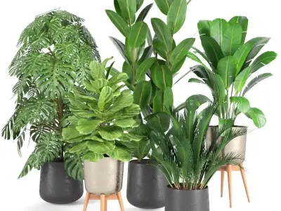 plant collection RPM 03 3D model