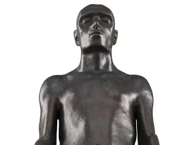  Melancholic male torso in metal 
