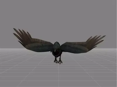 Crow v2 Low-poly 3D model