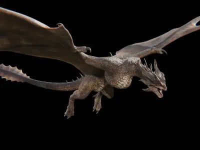 Dragon Wyvern Alpha Low-poly 3D model
