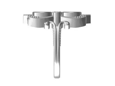 2 Stone Engagement Ring Texture