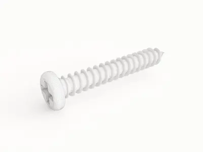 Screw 41 3D model