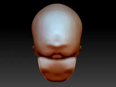 Anatomically correct human skull in full size 3D print model
