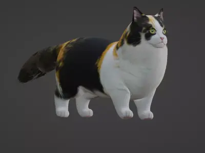 Cat Rigged 3D model