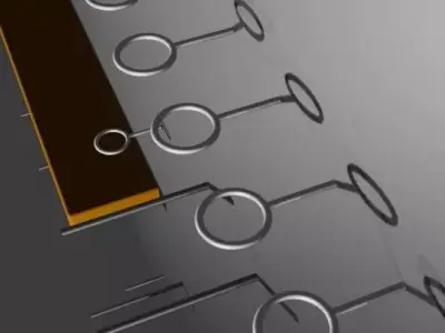 Tool Wall Organizer  3D model