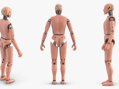 Crash Test Dummy 1 Rigged Biped 3D model
