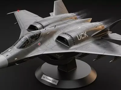 Fighter Jet 3D Model  STL FBX OBJ  File 3D model