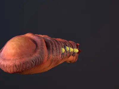 Sharkworm From Outer Space Low-poly 3D model